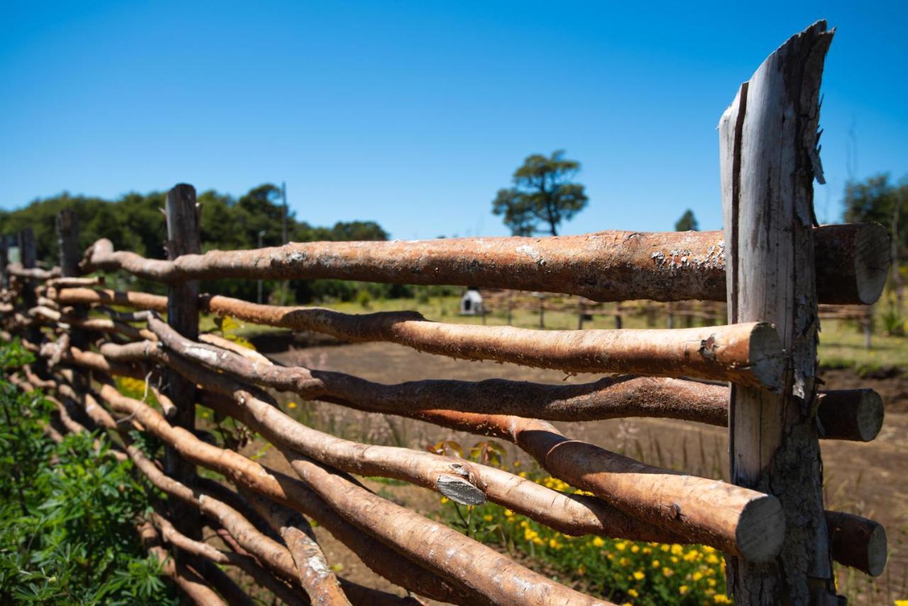Cabanas Chiloeislife Countryside Кастро Екстер'єр фото