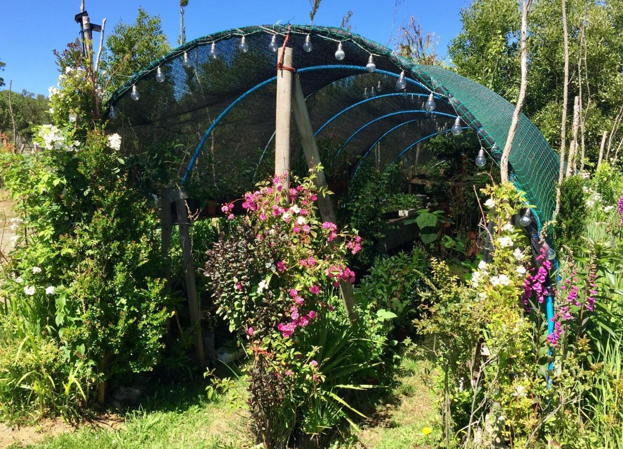 Cabanas Chiloeislife Countryside Кастро Екстер'єр фото